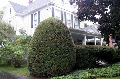 Park House Bed & Breakfast Johnson City Dış mekan fotoğraf